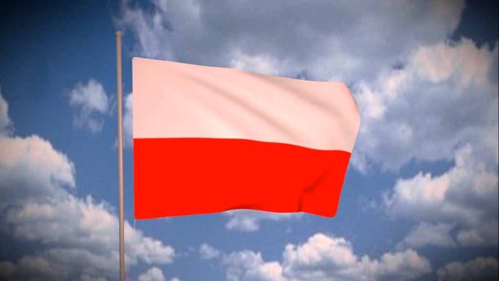 Polish Flag preview image 1